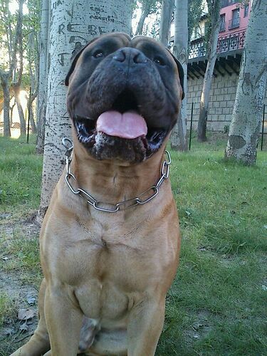 IMG-20130725-WA001-2