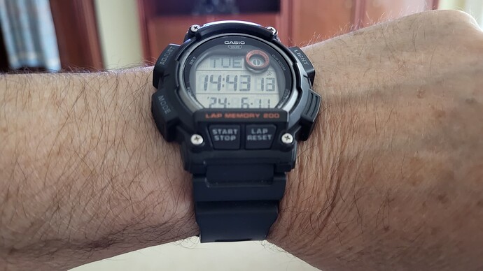 1000101299