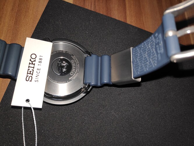 MVIMG_20231108_154925