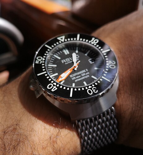 IMG_20230828_124202_edit_839572934902618