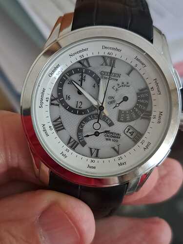 Citizen perpetual