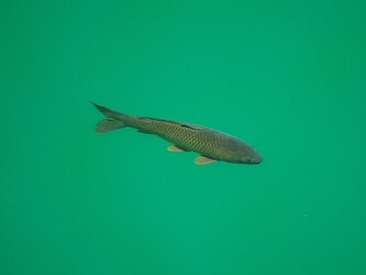 P8030097