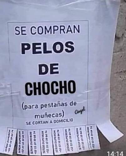 FB_IMG_1725224571922