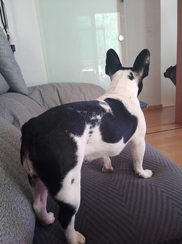 17201096991295847563249600733248