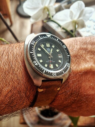 20240819_125339_HDR-01