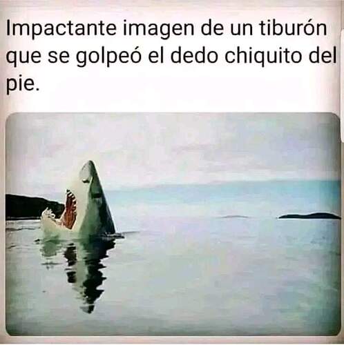 FB_IMG_1724990543250