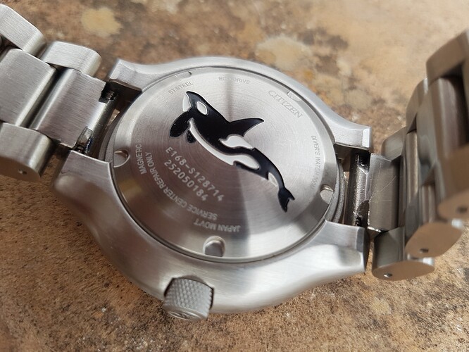 Orca (2)