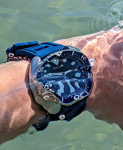 PXL_20231106_144724681~2