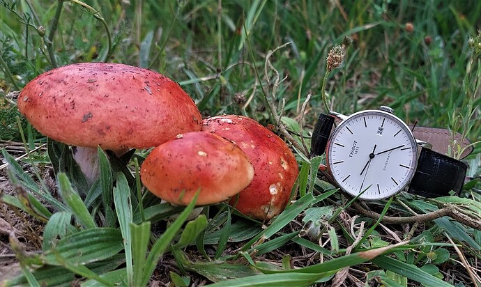 SWI20230415_102234 (32)