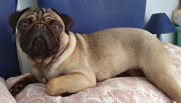 20200425_214900_52201