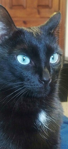 CM240326-150329001-01-01-01-01