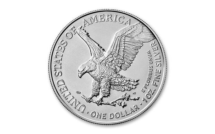 Moneda-1-Onza-31.10-Gramos-Plata-Aguila-Varios-Anos2