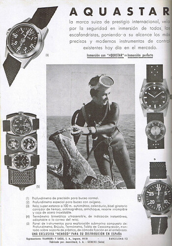 10750111-566583850141935-3915011543582630374-o