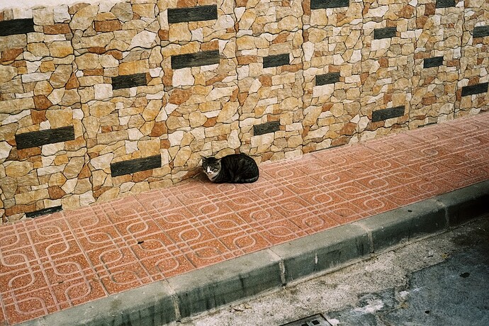 3150 - 2024.10.15 - Oscar Puerto Carrillo - Fuji 200-14