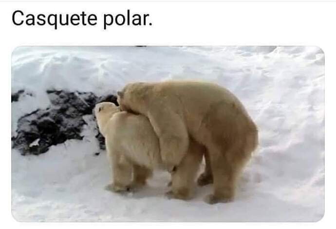 FB_IMG_1724359330668