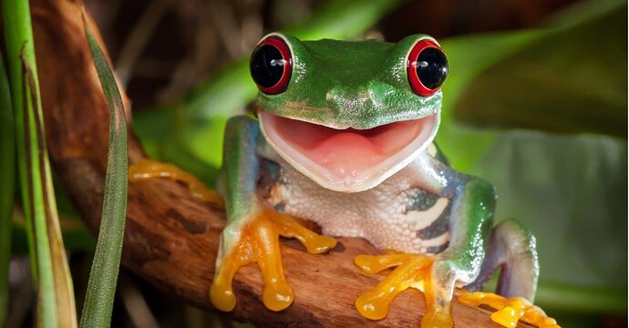 tree-frog