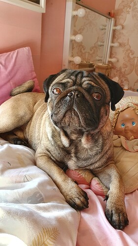 20220121_124210_49357