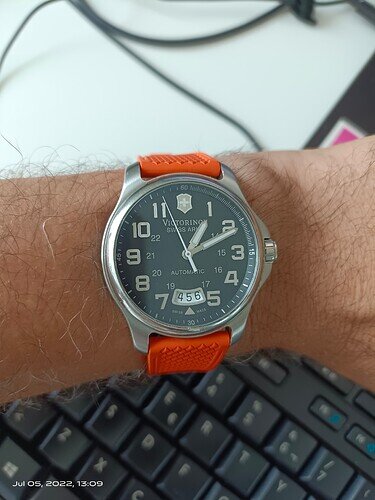 Victorinox_field_RSWC_strap