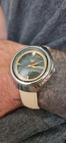 16932283100456348709512939460704