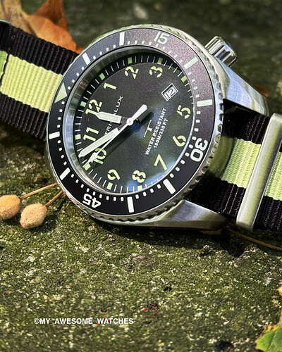 51E32F6A-A6CA-4FE1-8684-412DE32372A5