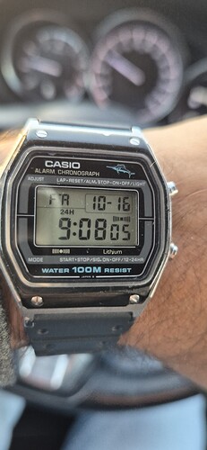 1000203599