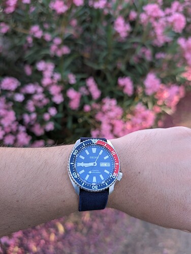 PXL_20250619_184600138.MP