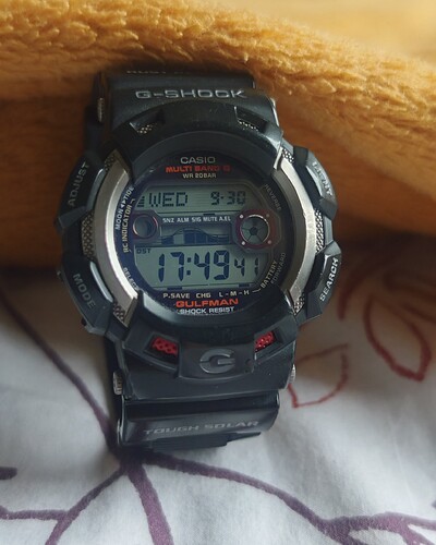 1000172231