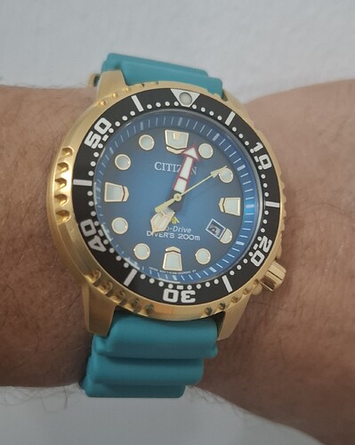 1000091551