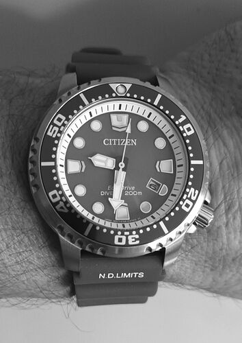 IMG_B_W_2024110614