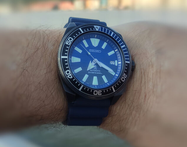 Samurai Save the ocean