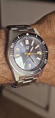1000073384