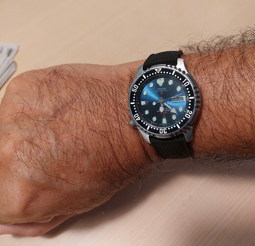 citizen promaster