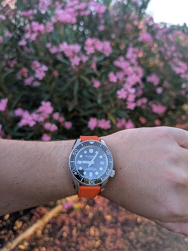 PXL_20250627_190625732.MP