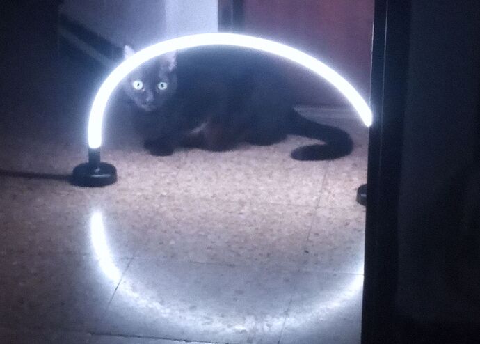 IMG_20251223_181420_044~2