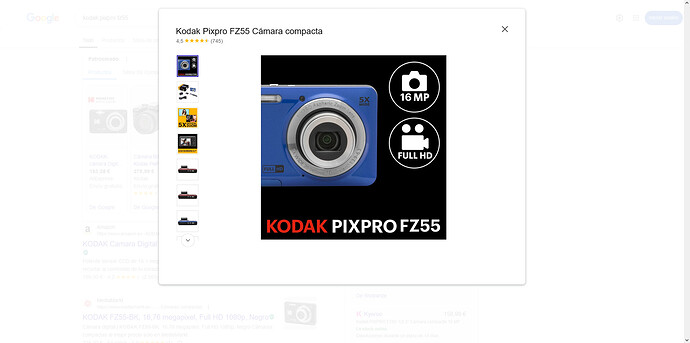 Screenshot 2025-02-13 at 10-48-04 kodak pixpro fz55 - Buscar con Google