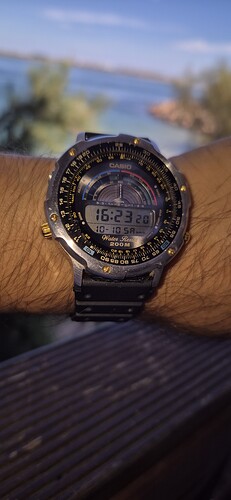 1000202041