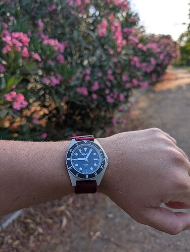 PXL_20250628_180608318.MP