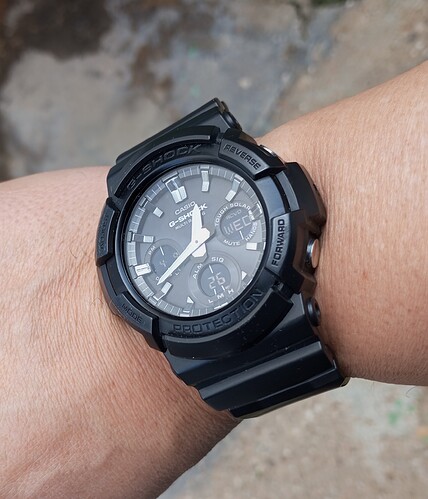 1000084339