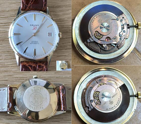 Cauny Prima 30 Gold 18k Incabloc composición