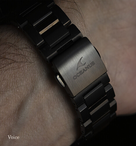 Oceanus Titanio Hybrid GPS 02