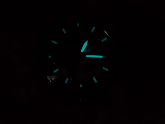 1000073317
