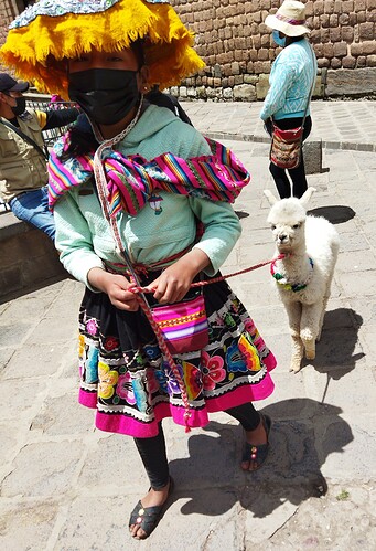 IMG_20220303_105246~2