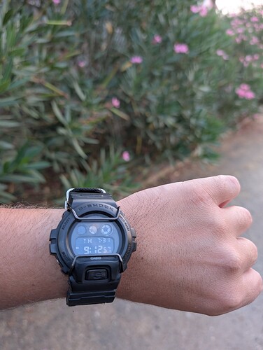 PXL_20250731_191207804.MP