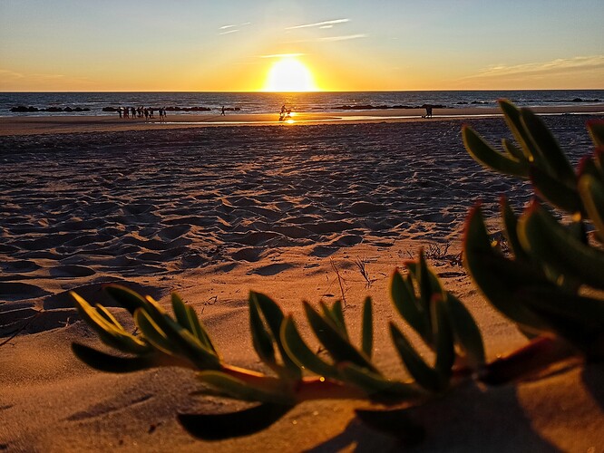 IMG20220924200643-01-01