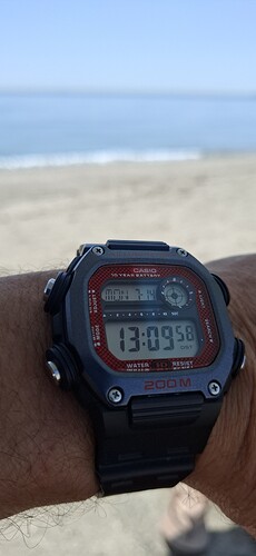 1000036063