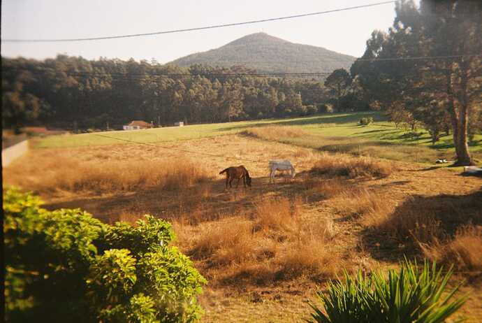 IMG-20251022-WA0016