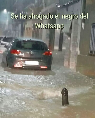 FB_IMG_1771487513706