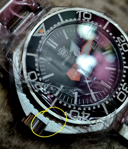 1000118323