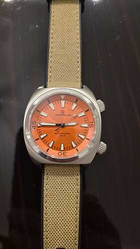 WhatsApp Image 2026-02-04 at 16.44.24 (5)