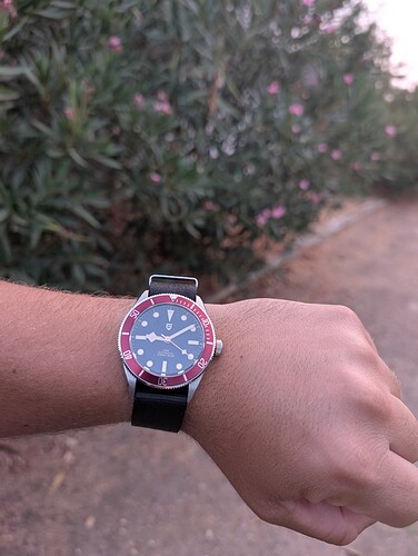 PXL_20250817_190928657.MP